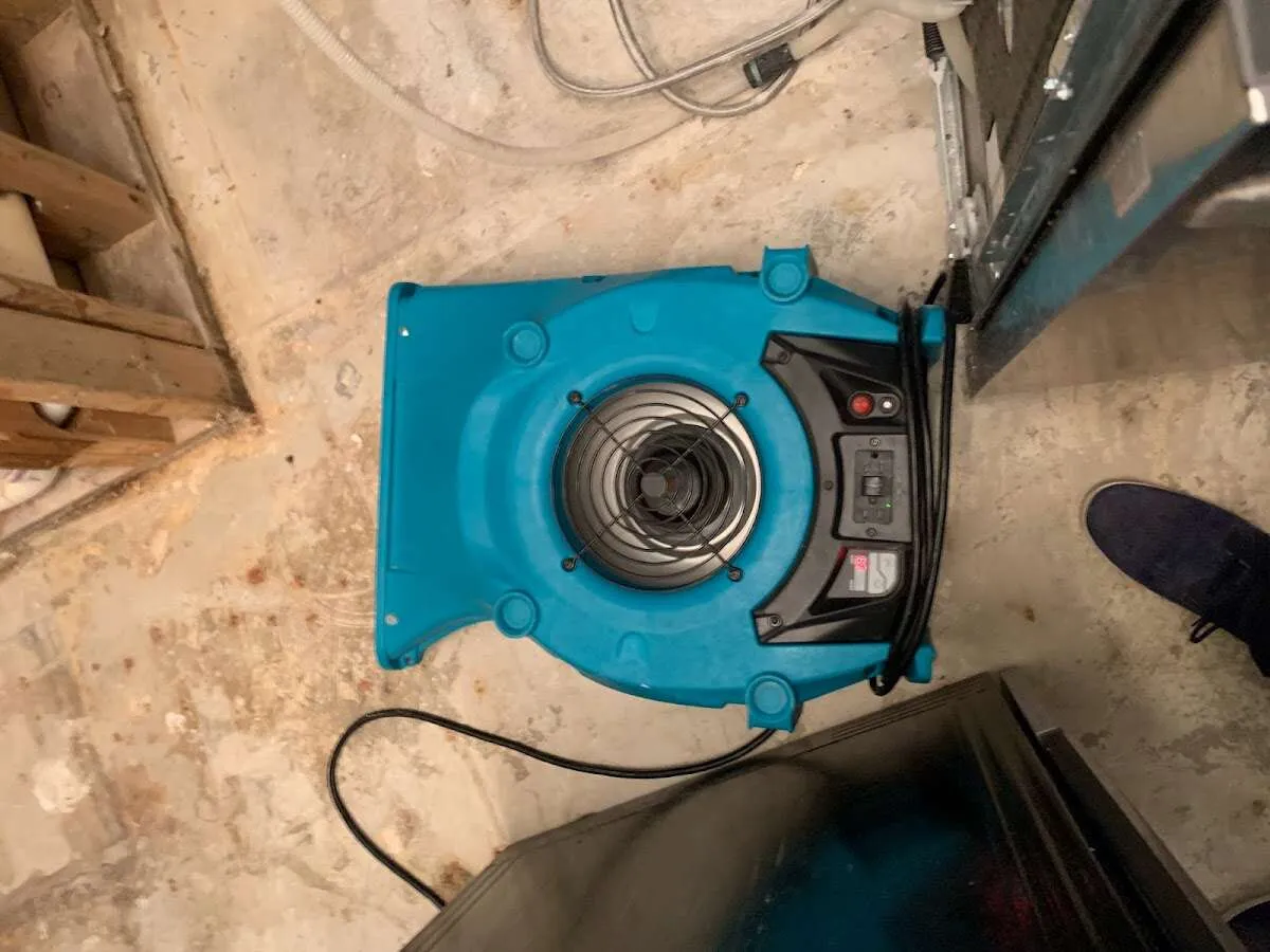 Air mover drying equipment for Mold Remediation & Removal in Alhambra